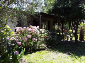 El Viento en los Sauces